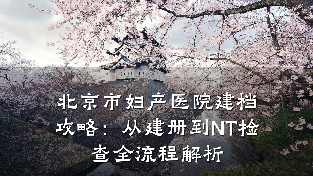 北京市妇产医院建档攻略：从建册到NT检查全流程解析