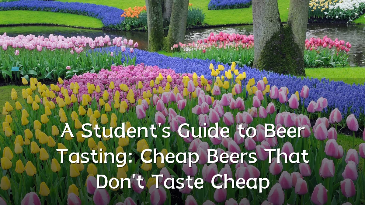 A Student's Guide to Beer Tasting: Cheap Beers That Don't Taste Cheap