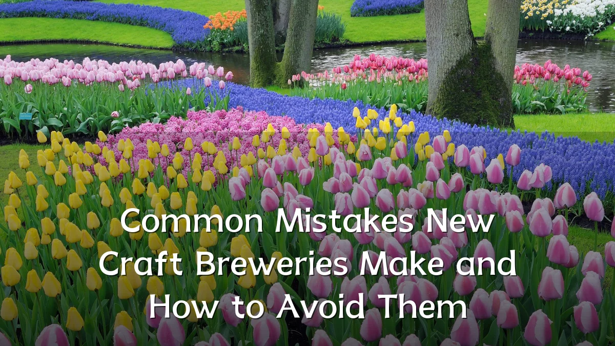 Common Mistakes New Craft Breweries Make and How to Avoid Them