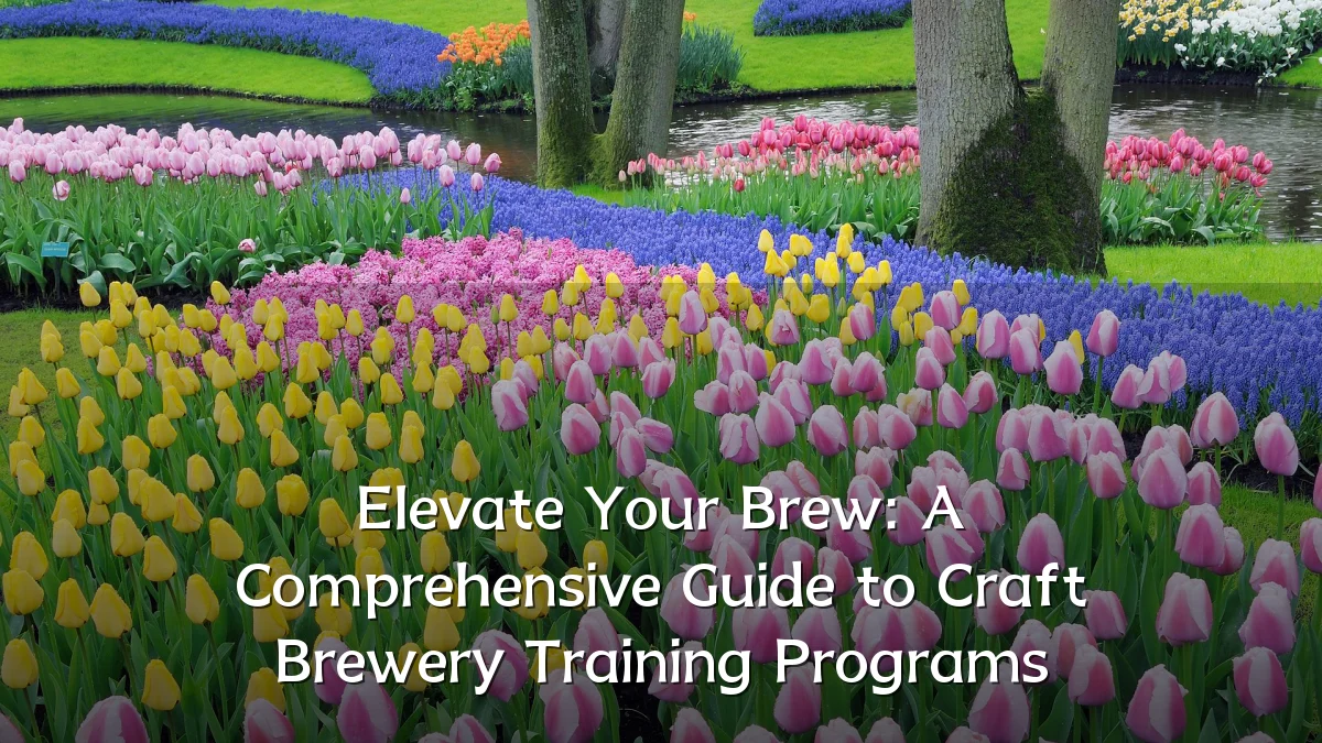 Elevate Your Brew: A Comprehensive Guide to Craft Brewery Training Programs