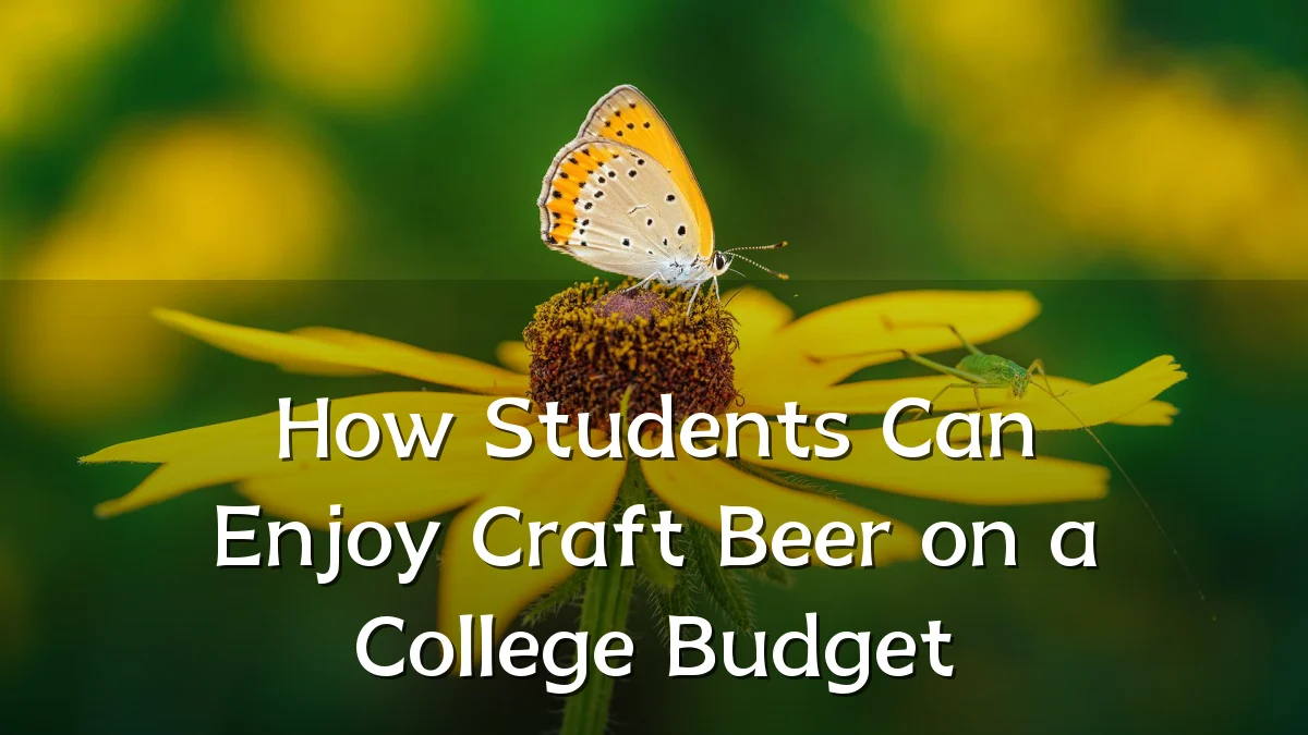 How Students Can Enjoy Craft Beer on a College Budget