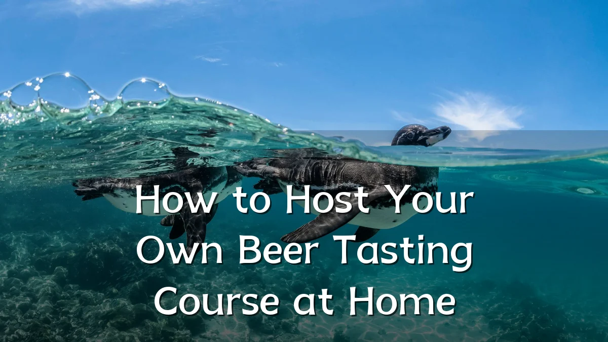 How to Host Your Own Beer Tasting Course at Home