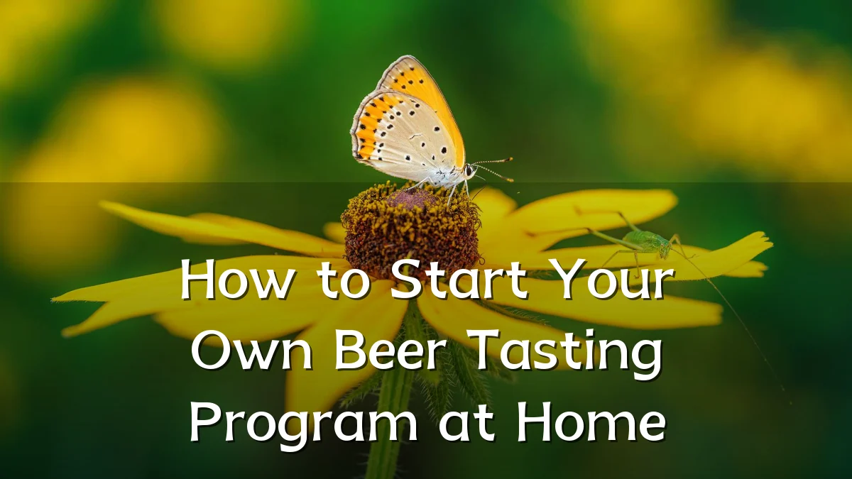 How to Start Your Own Beer Tasting Program at Home