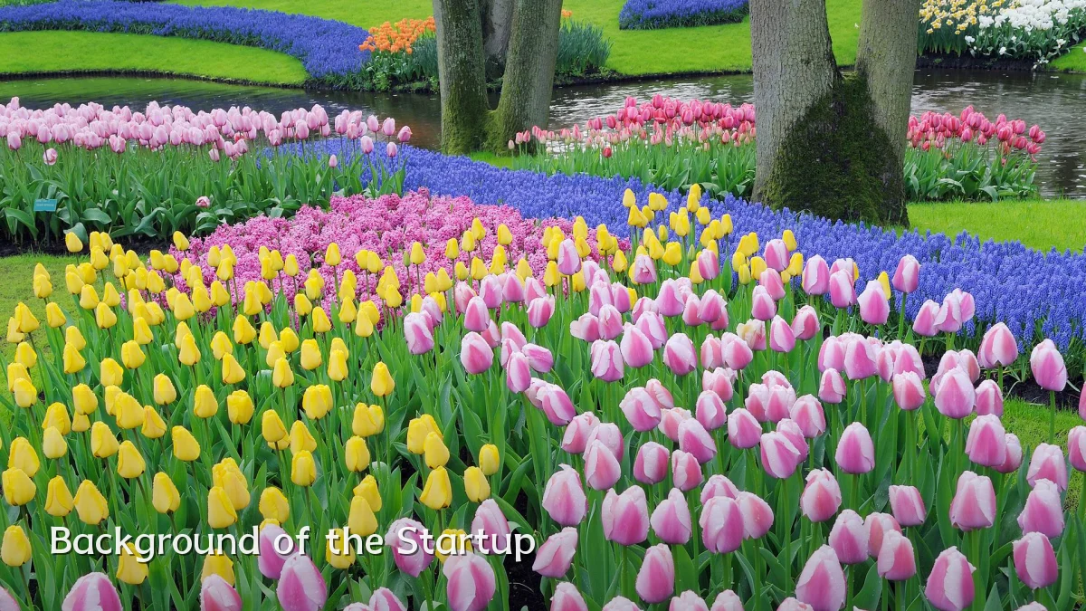 Background of the Startup