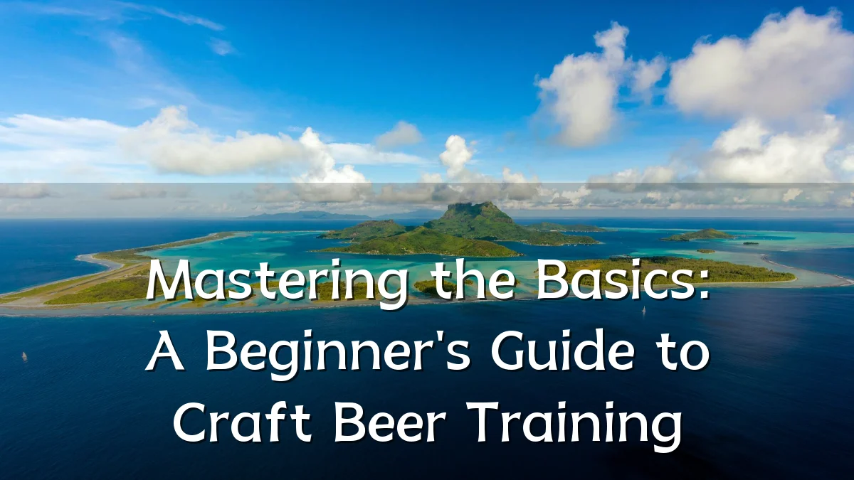 Mastering the Basics: A Beginner's Guide to Craft Beer Training