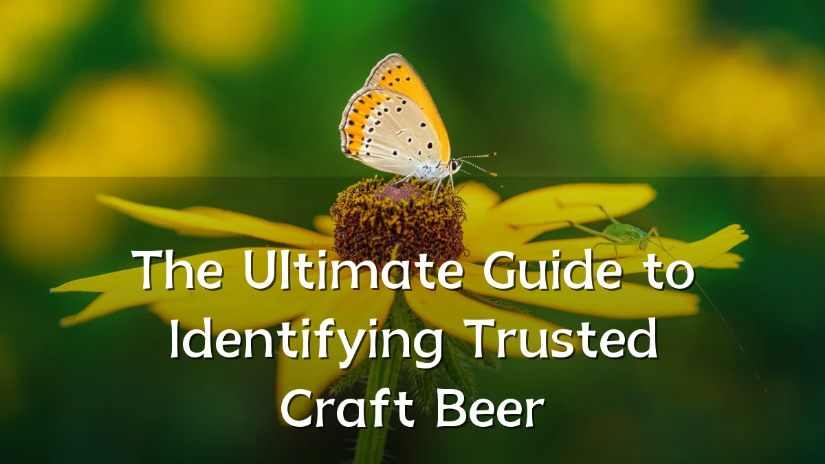 The Ultimate Guide to Identifying Trusted Craft Beer