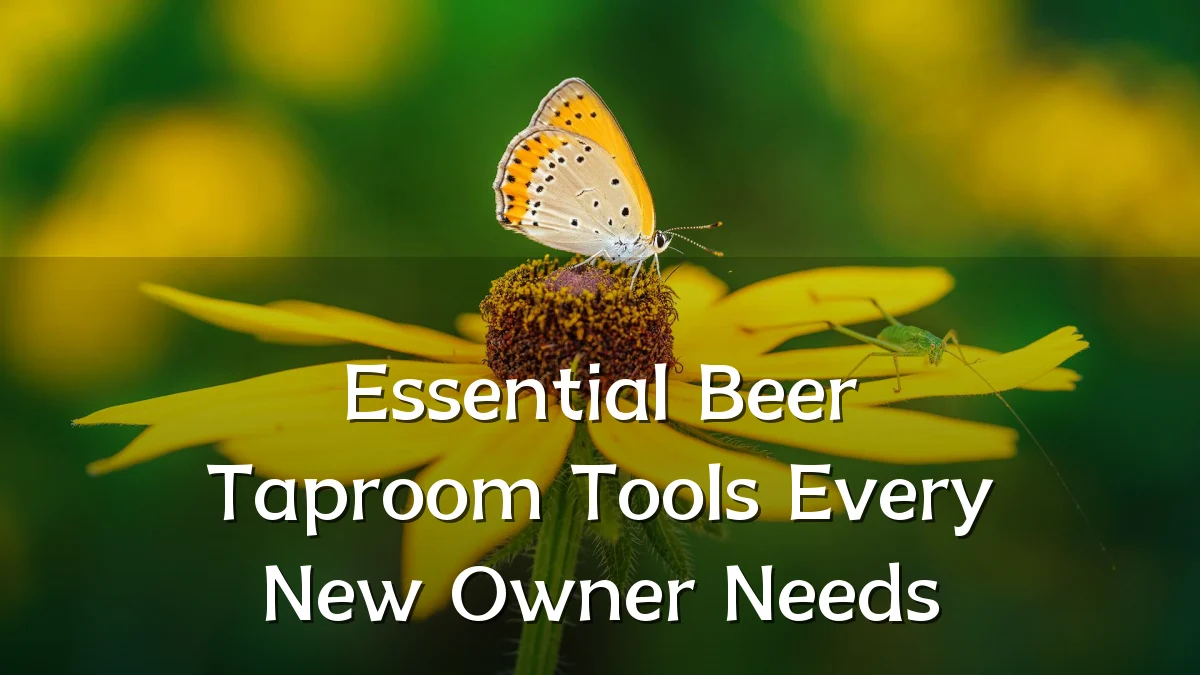 Essential Beer Taproom Tools Every New Owner Needs