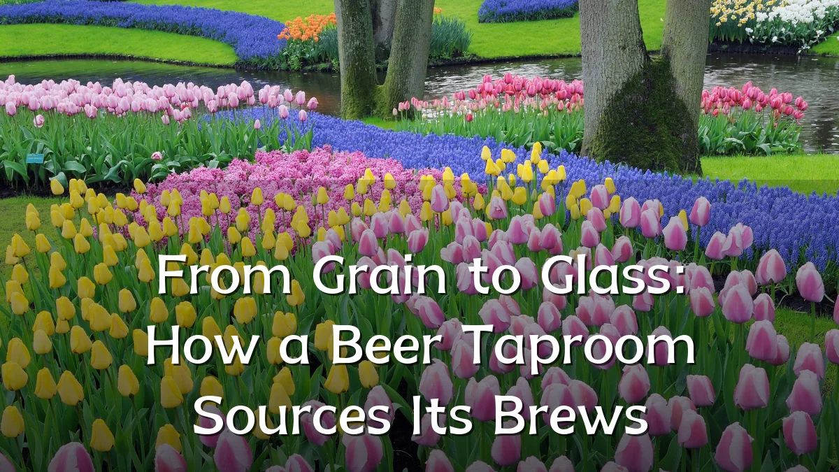 From Grain to Glass: How a Beer Taproom Sources Its Brews