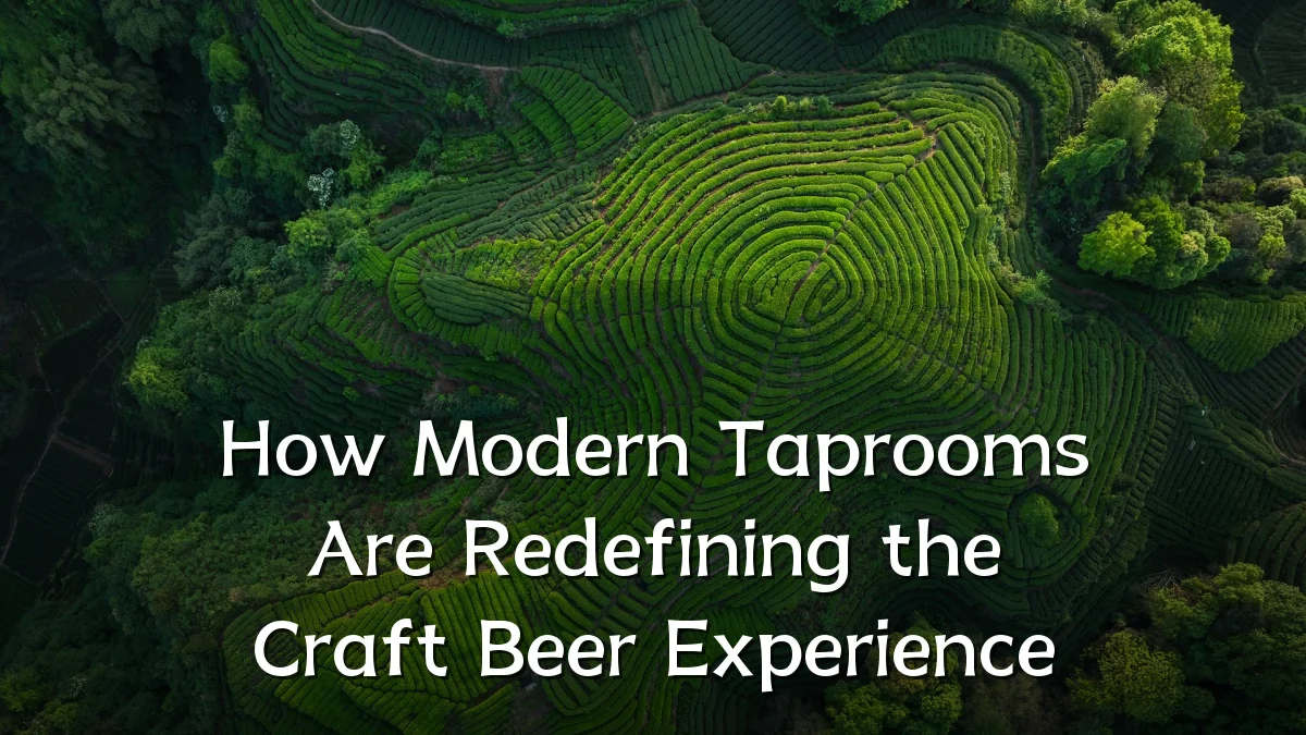 How Modern Taprooms Are Redefining the Craft Beer Experience