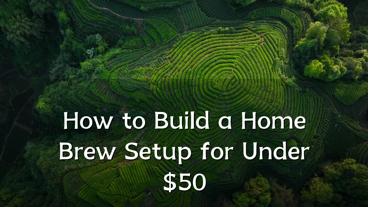 How to Build a Home Brew Setup for Under $50