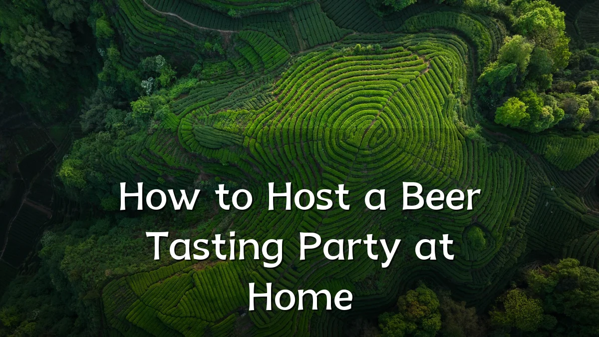 How to Host a Beer Tasting Party at Home
