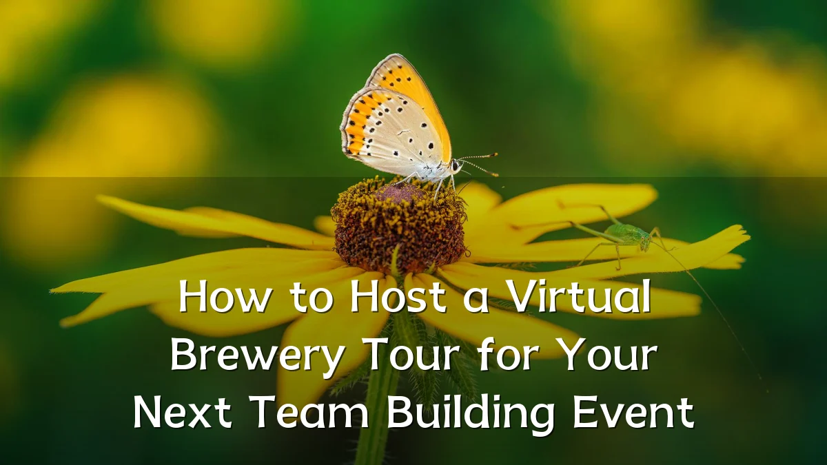 How to Host a Virtual Brewery Tour for Your Next Team Building Event