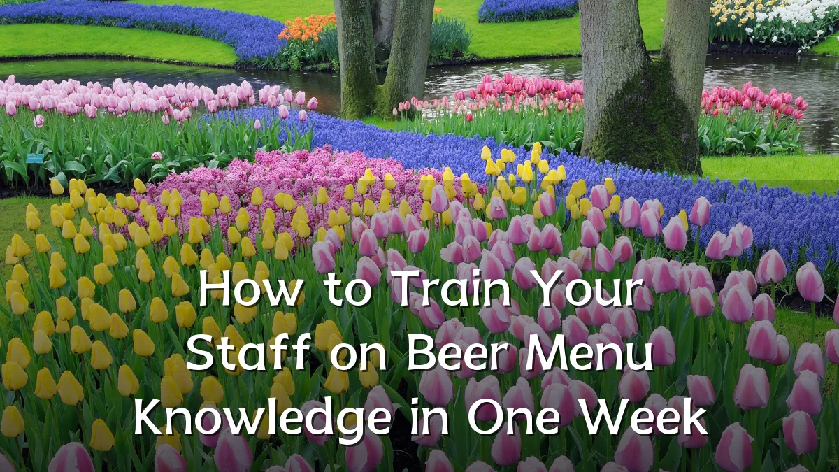 How to Train Your Staff on Beer Menu Knowledge in One Week