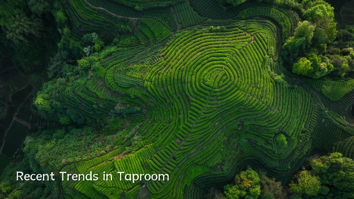 Recent Trends in Taproom