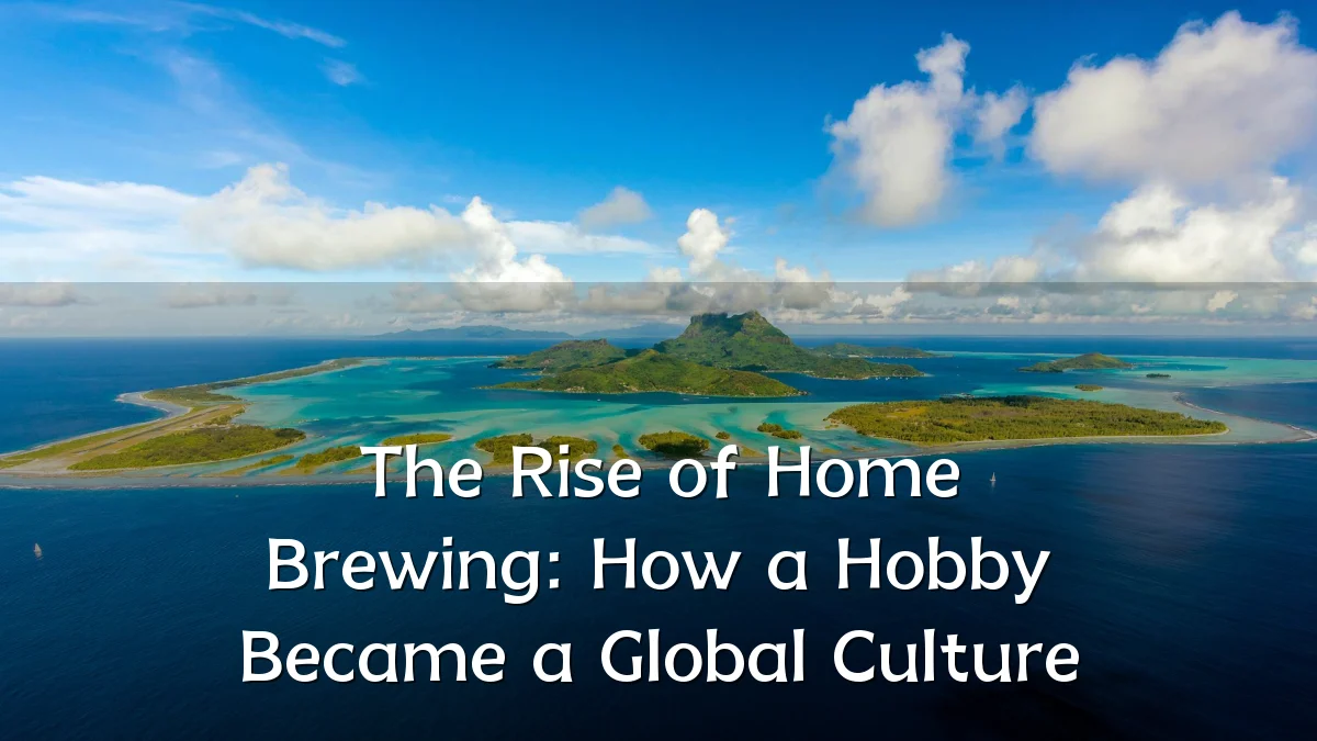 The Rise of Home Brewing: How a Hobby Became a Global Culture