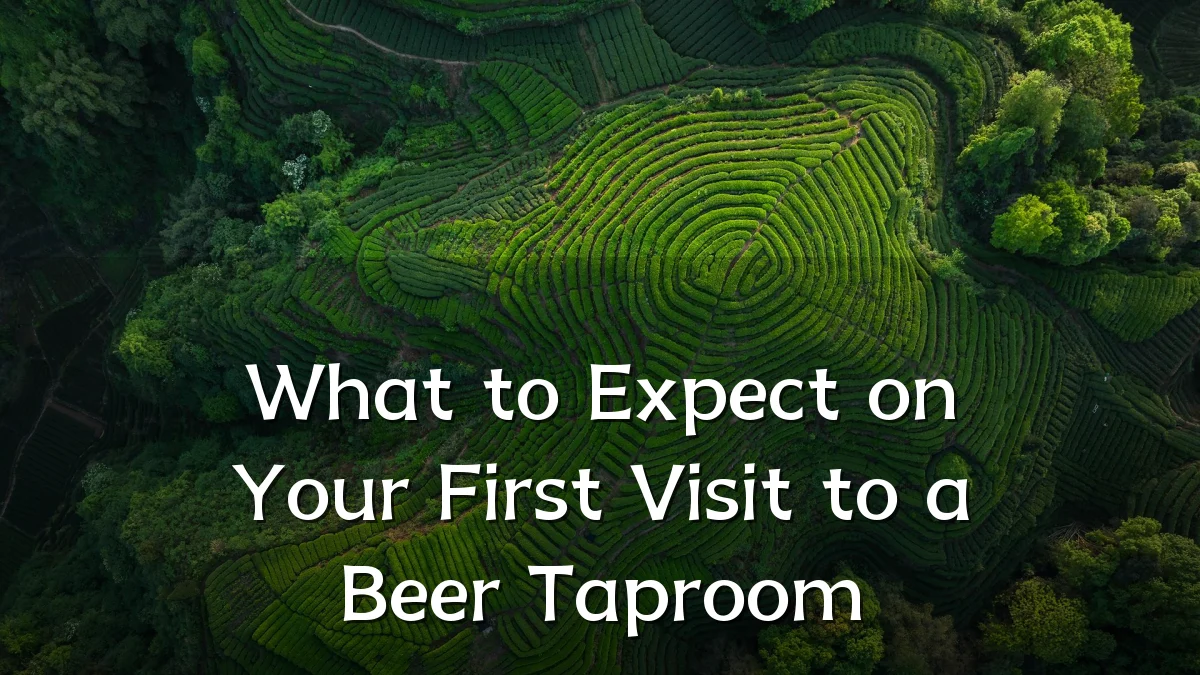 What to Expect on Your First Visit to a Beer Taproom