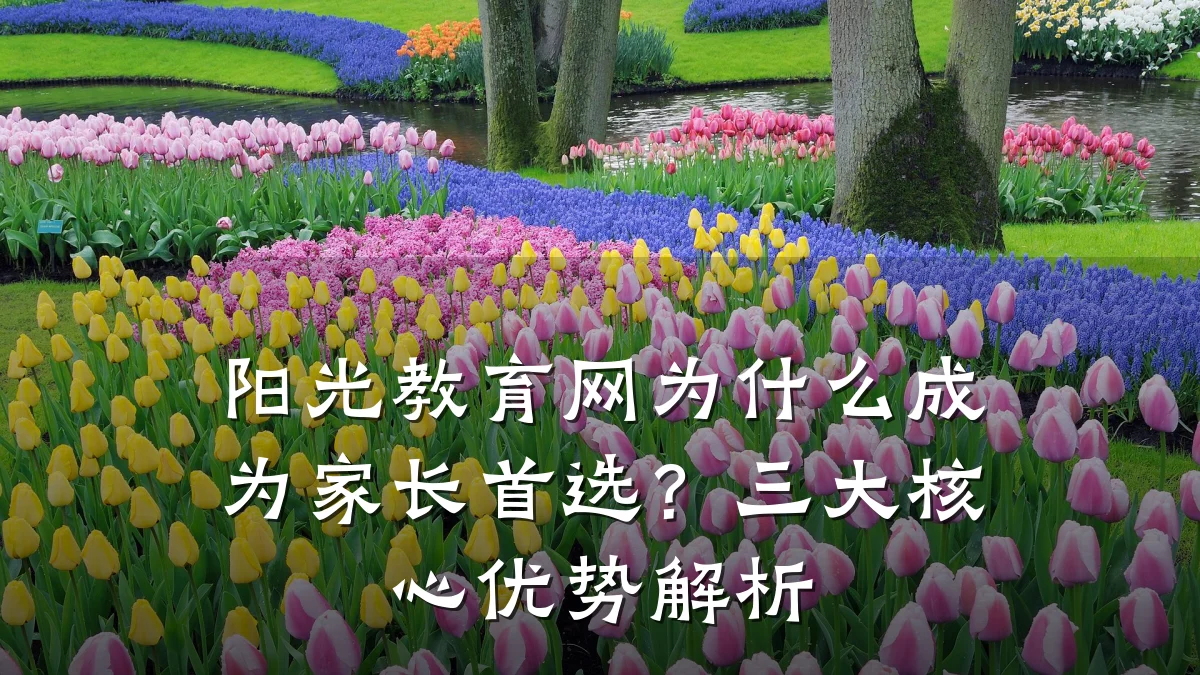阳光教育网为什么成为家长首选？三大核心优势解析